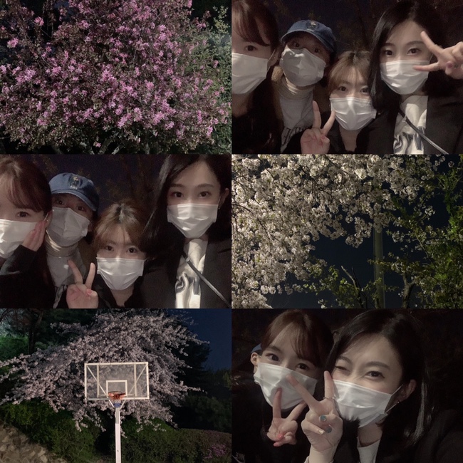 로사가든 이미지