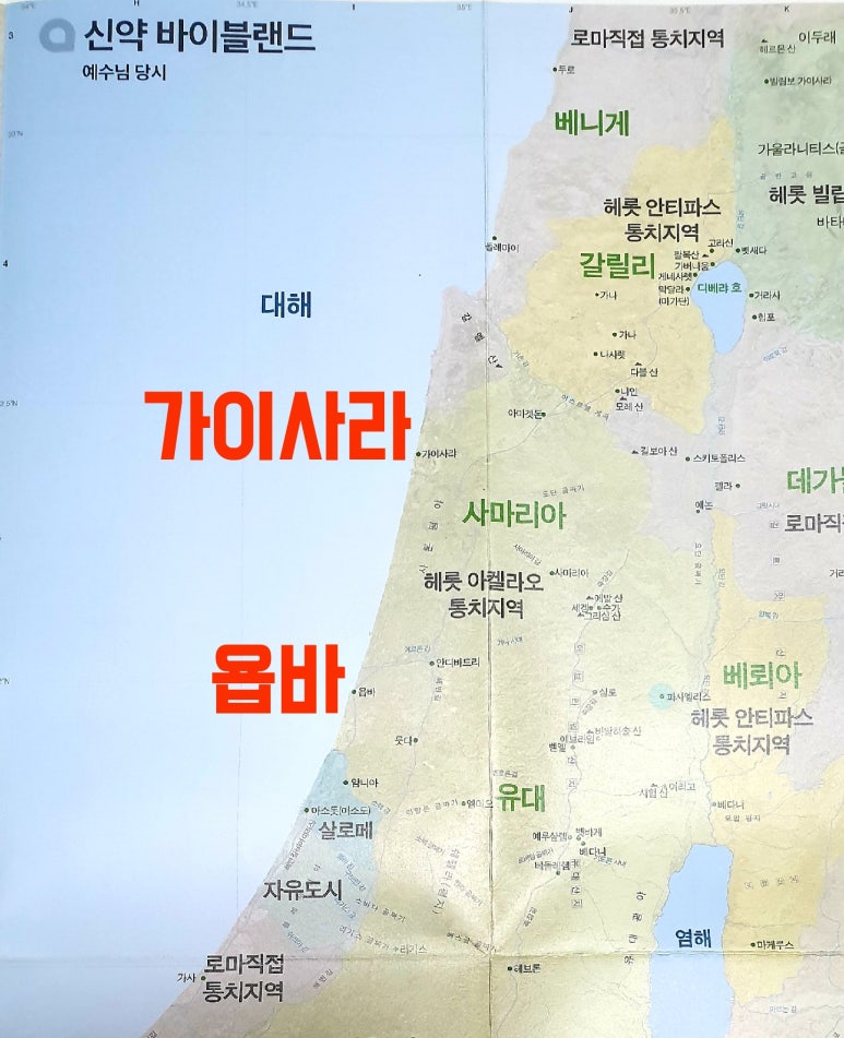 갈릴리여행사 이미지