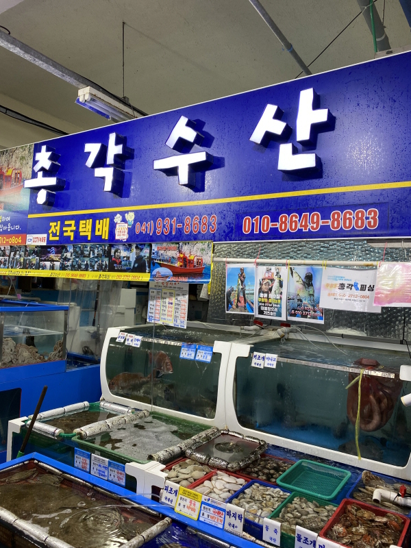 회떠주는총각 이미지