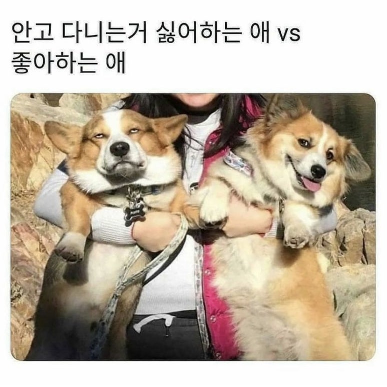 성수 이미지
