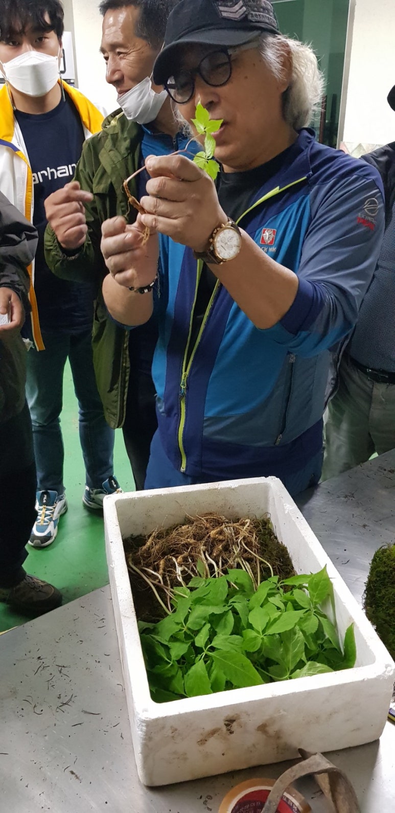 괴산산양삼영농조합법인 이미지