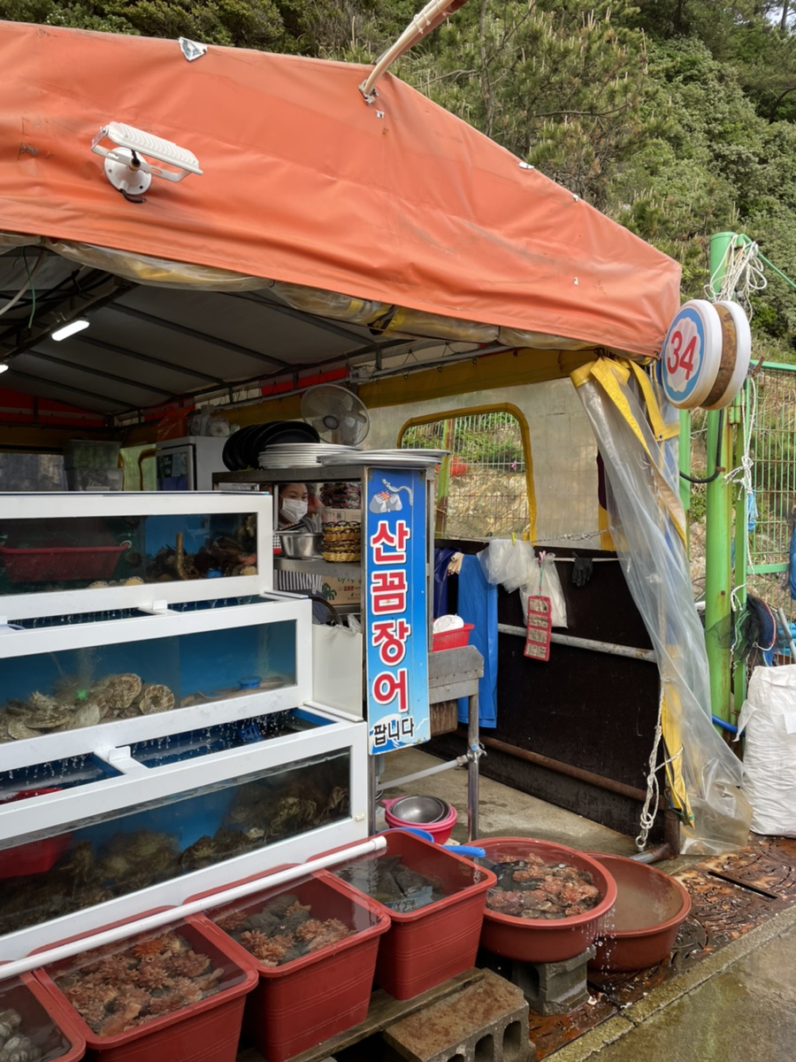 통영자갈마당 이미지