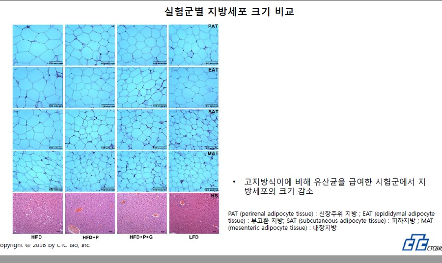 올데이티 이미지