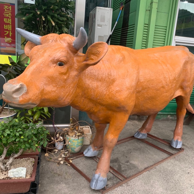 순천황우 이미지