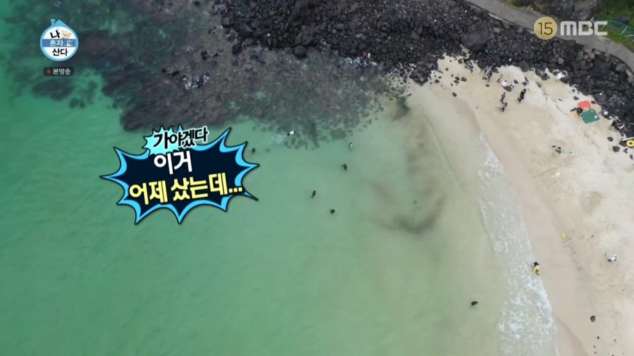 새마을서핑운동 이미지