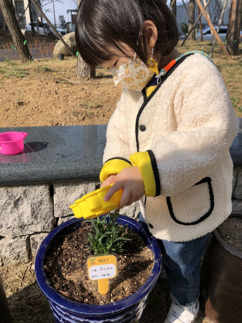 누리루리 이미지