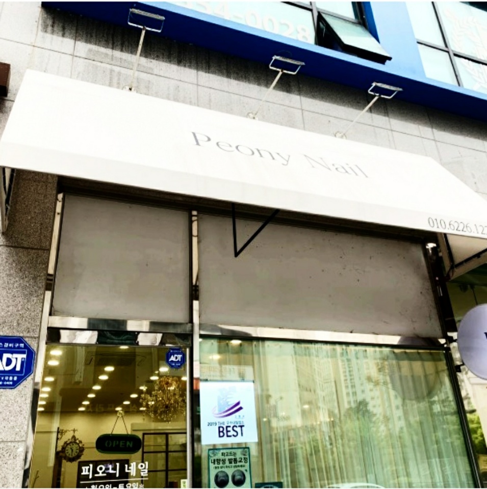네일피오니 이미지