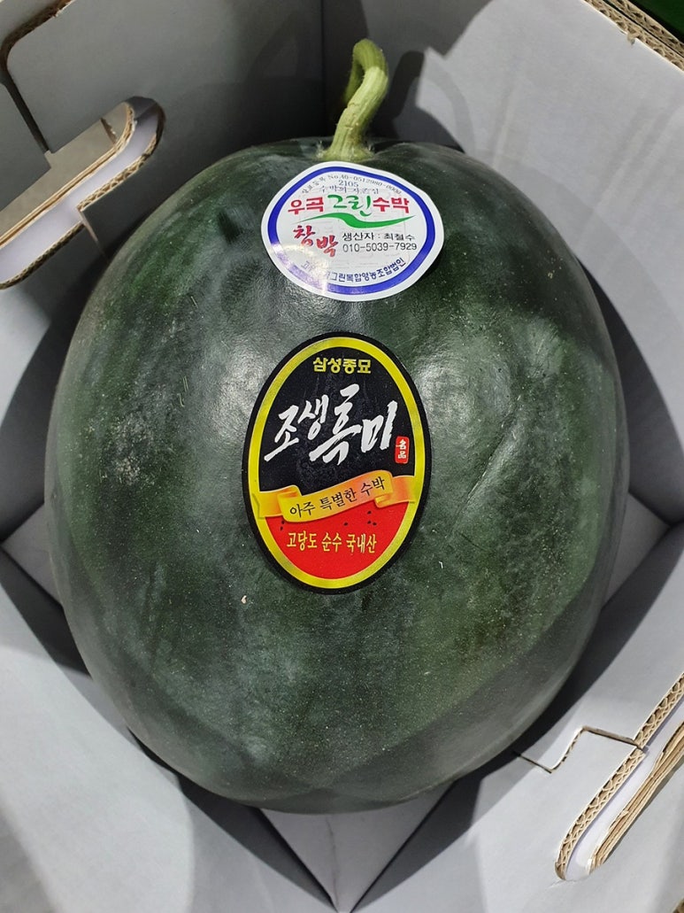 과일사랑 이미지