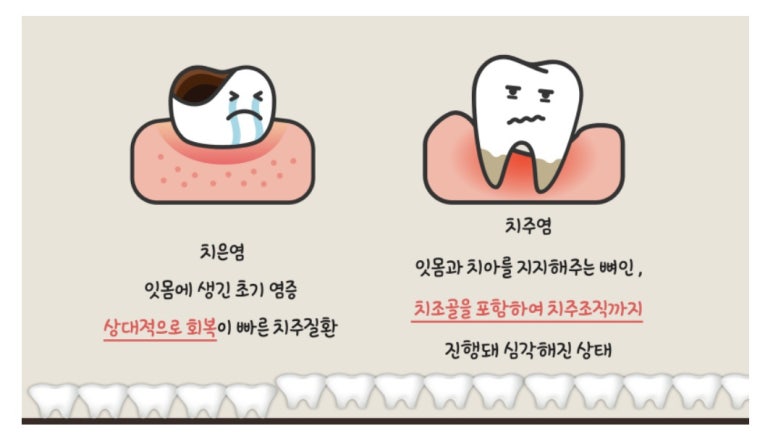 연세탑치과 이미지