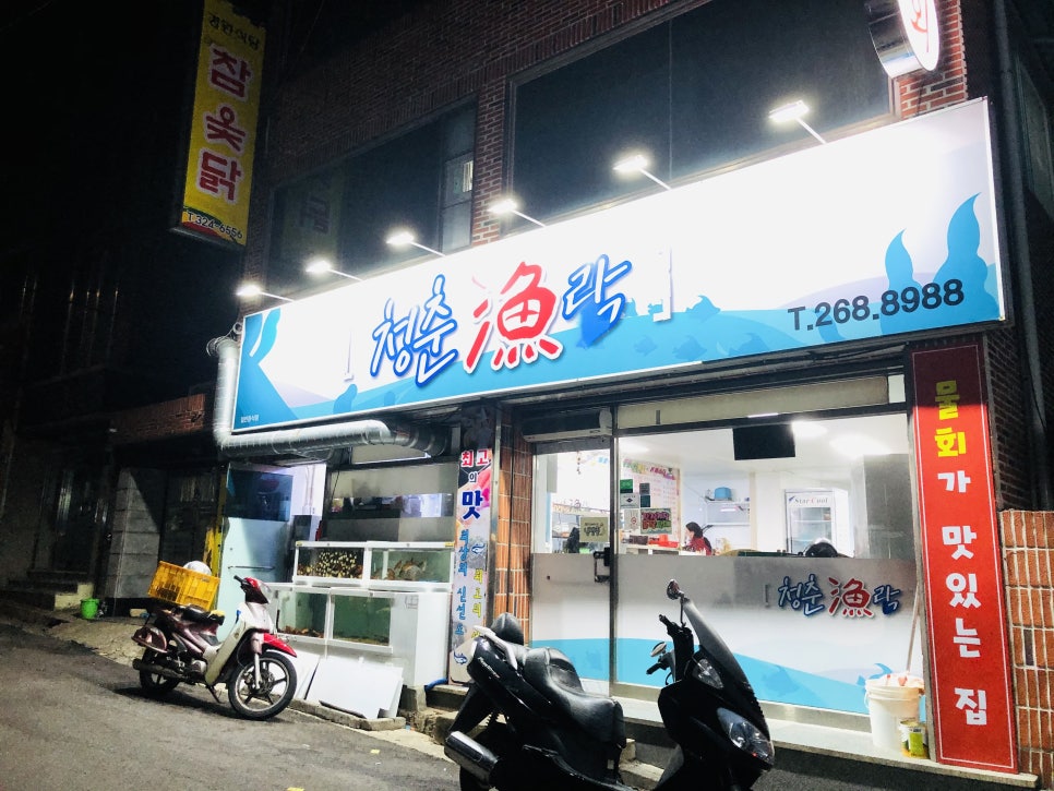 청춘어락 이미지