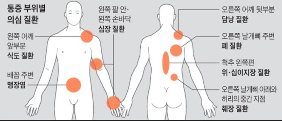 신의손교정원 이미지
