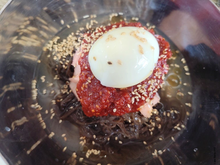 제주돈선생상봉 이미지