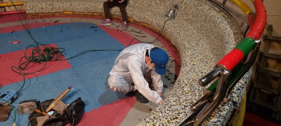일산디스코팡팡 이미지