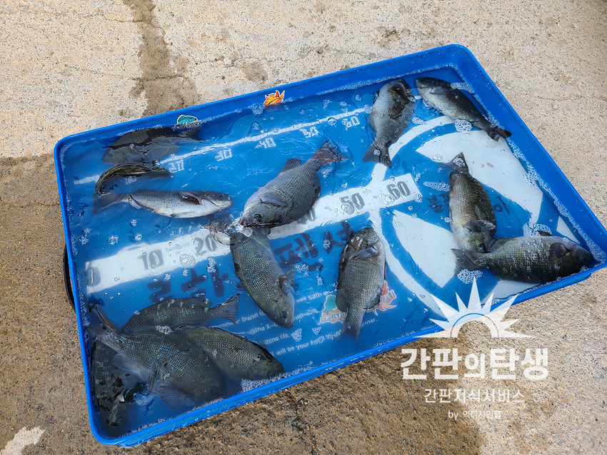 야생화마을펜션민박 이미지