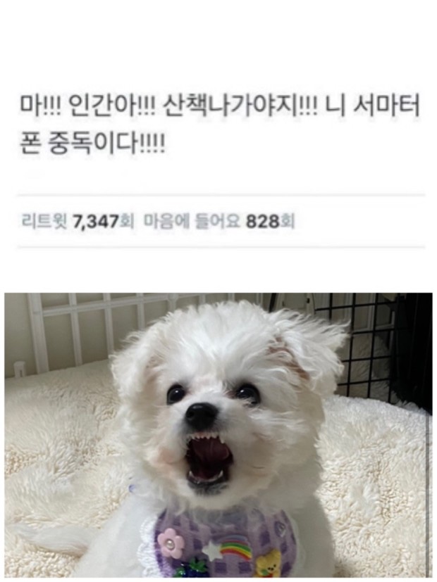 PC방가자 이미지