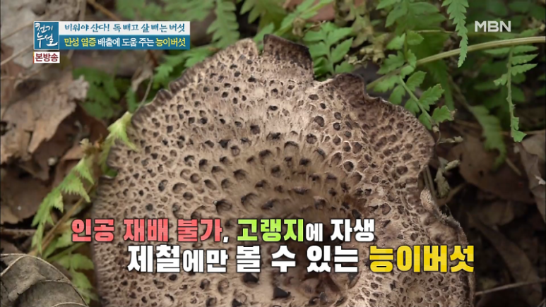 달기약수닭백숙해성 이미지