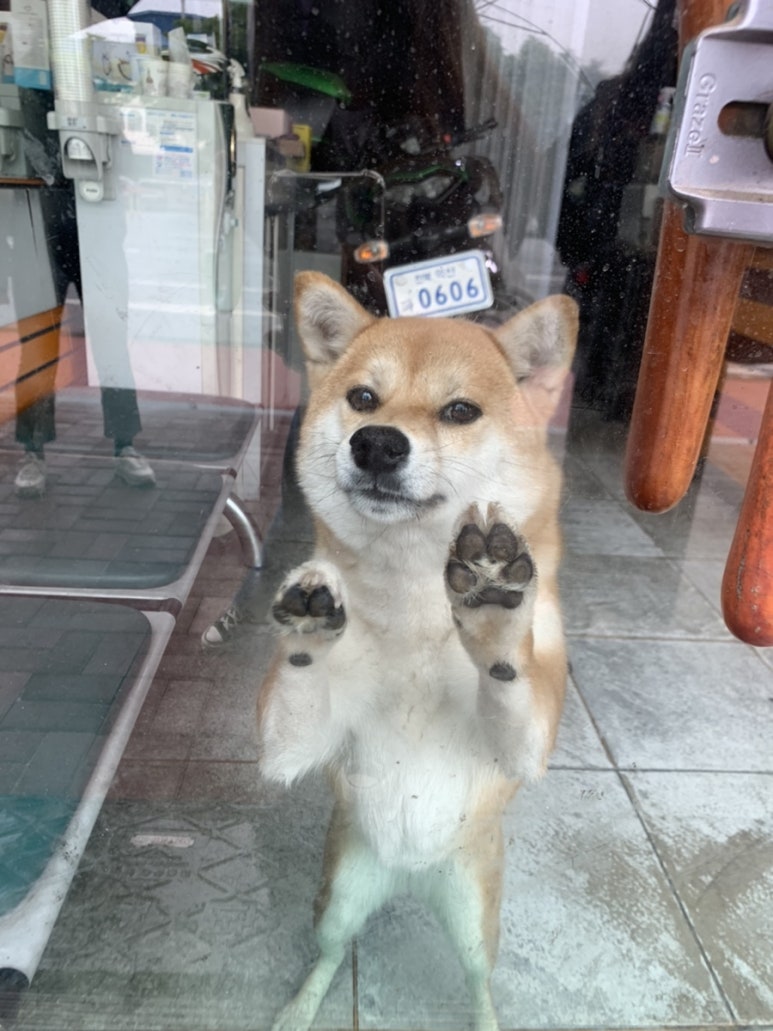 야미마라탕 이미지