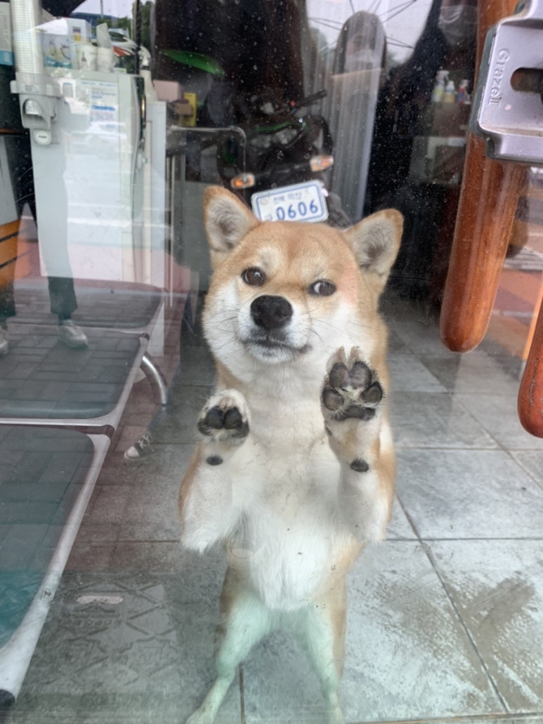 야미마라탕 이미지