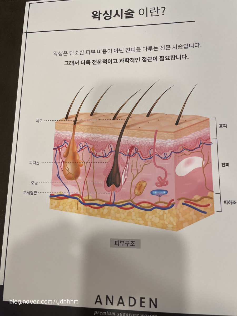 아나덴 슈가링왁싱 수유역점 이미지