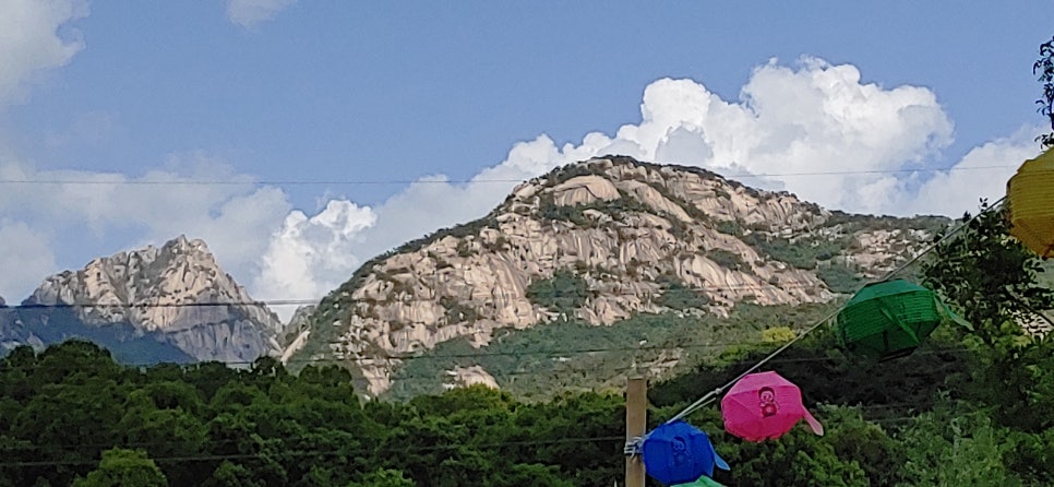 법무사예인 이미지