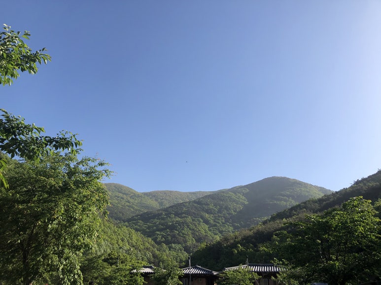 보현민박오토캠핑장 이미지
