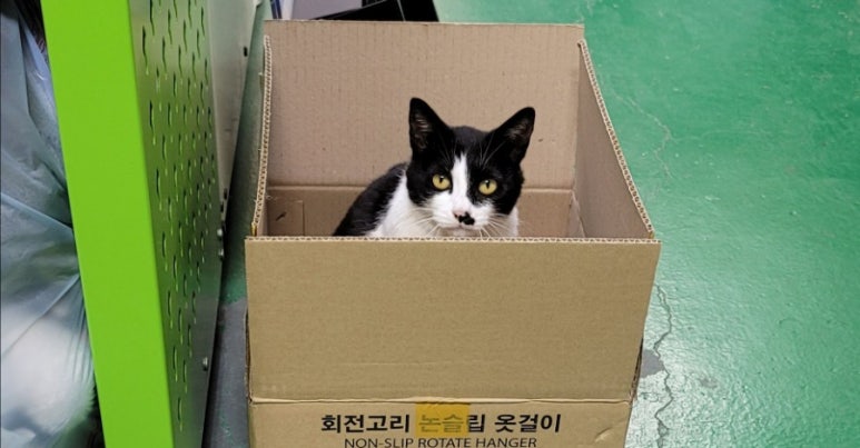 디에스커뮤니케이션 이미지