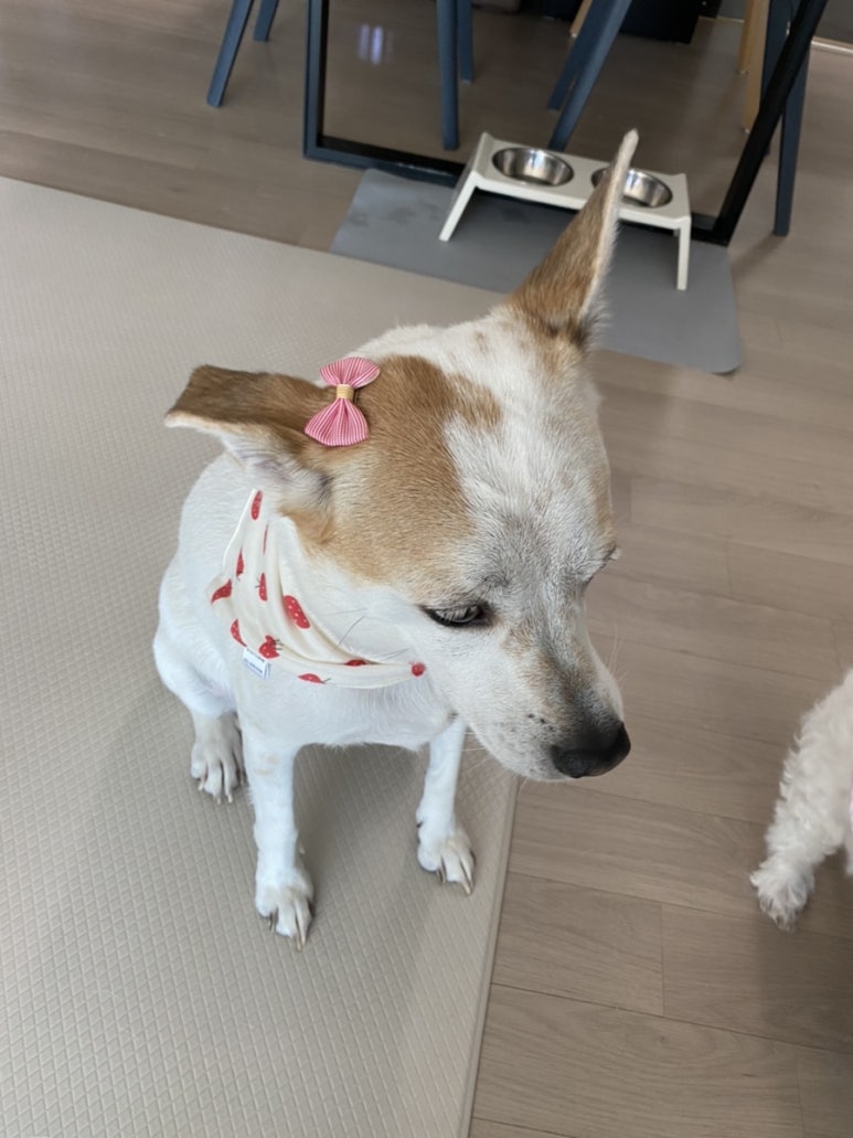 이쁜멋옷 이미지