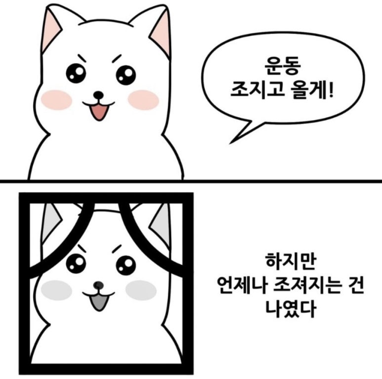나의운동일지PT 이미지