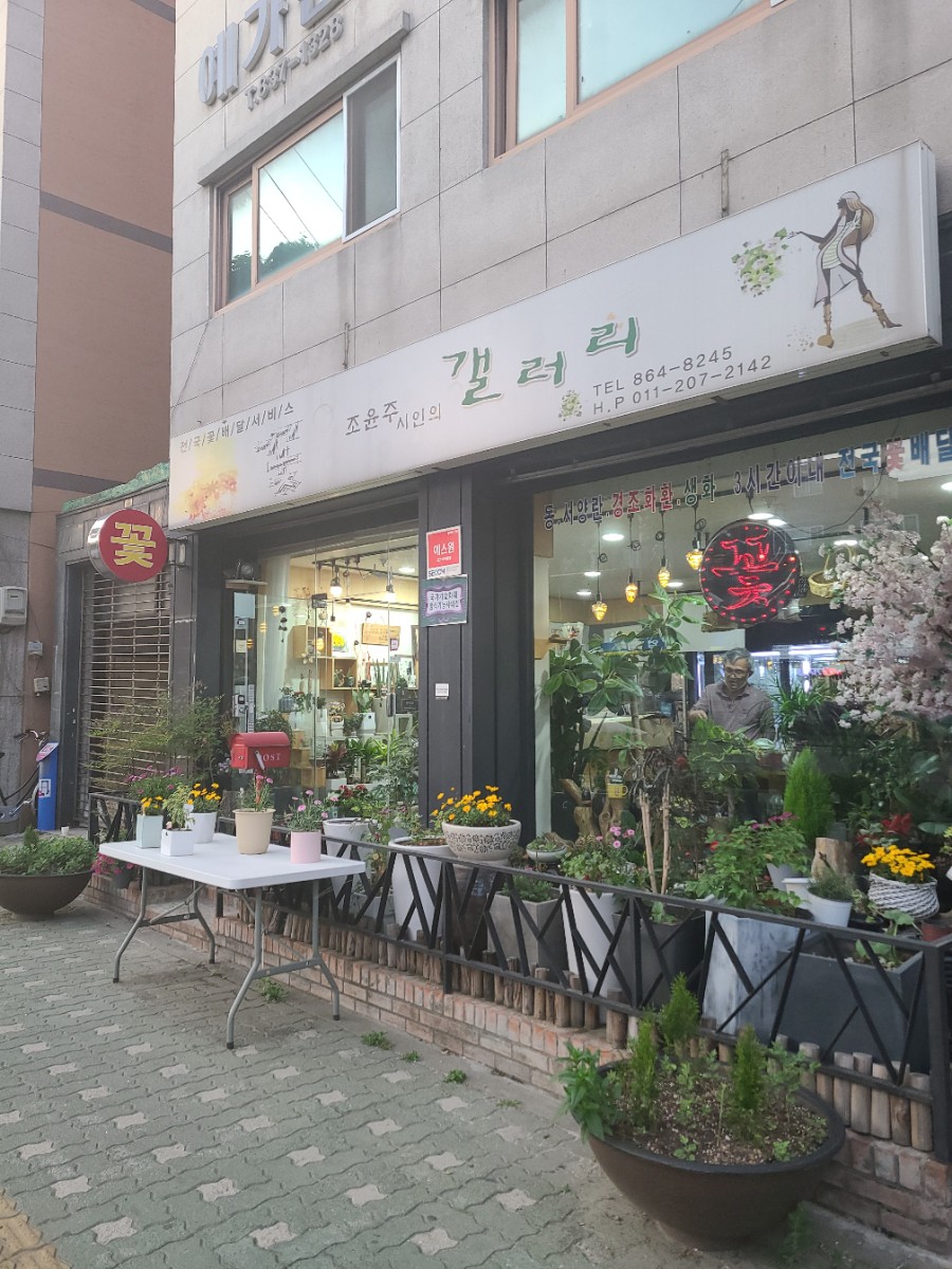 조윤주시인의꽃갤러리 이미지