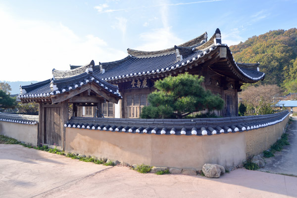 담 이미지