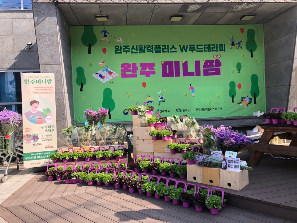 완주신활력플러스추진단 이미지