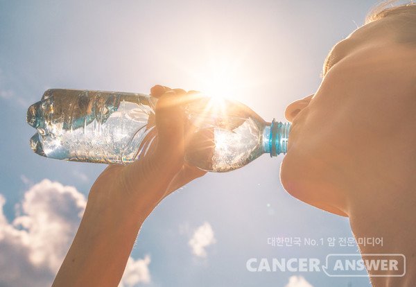 식품석촌지점 이미지