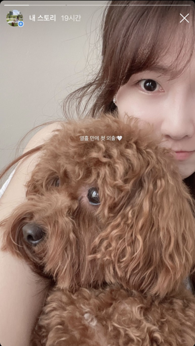 오(O)치킨 이미지