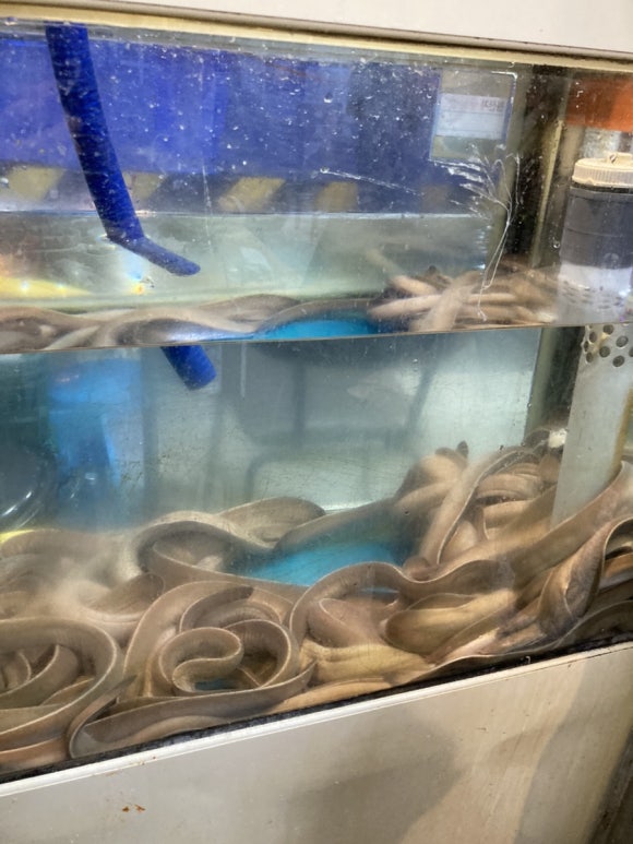 복이네산꼼장어 이미지