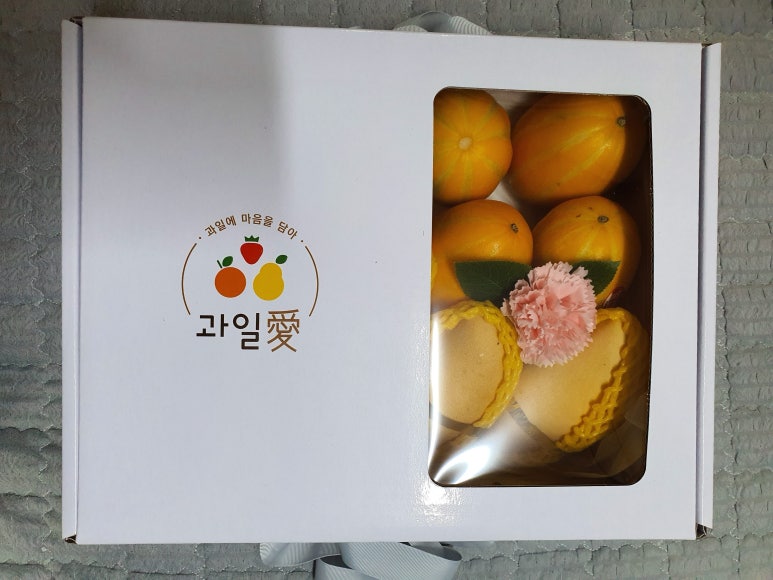 과일애제주 이미지