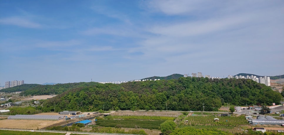 소문난가좌싱싱회 이미지