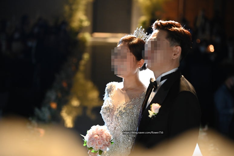 클래멘토 이미지