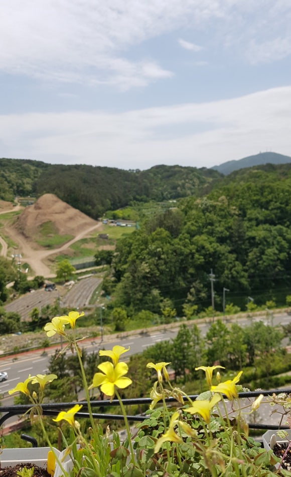 플로센트 이미지