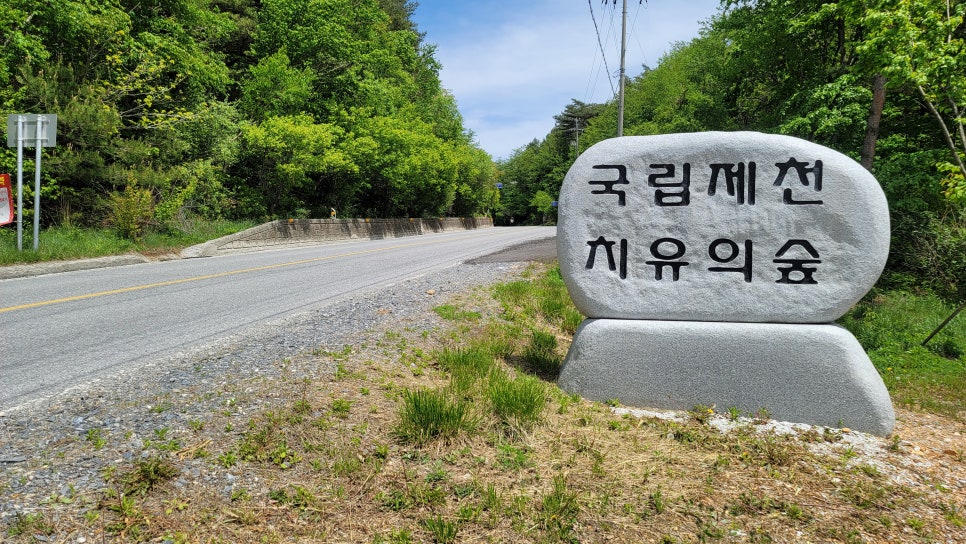 제천 치유의 숲 이미지