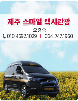 제주스마일택시관광 이미지