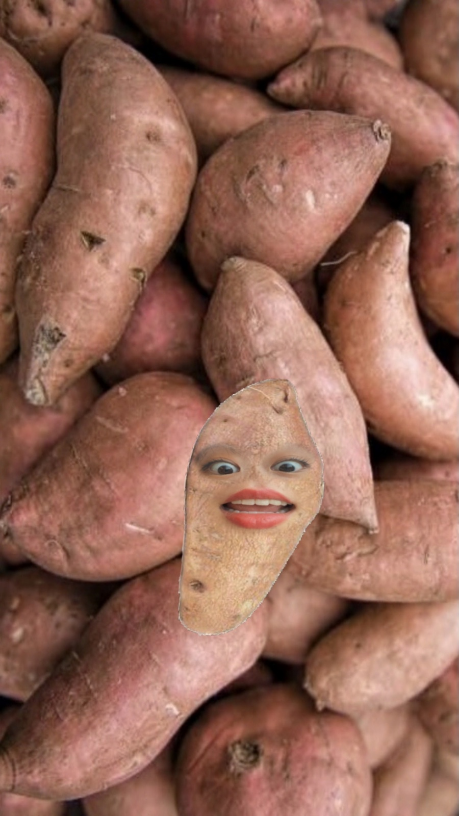 오일카페 이미지