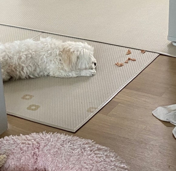 (주)친구네 이미지