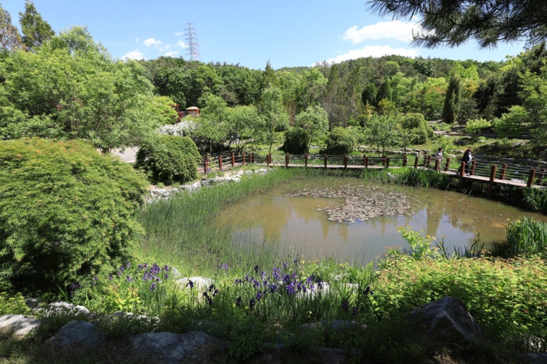 황학산수목원 이미지