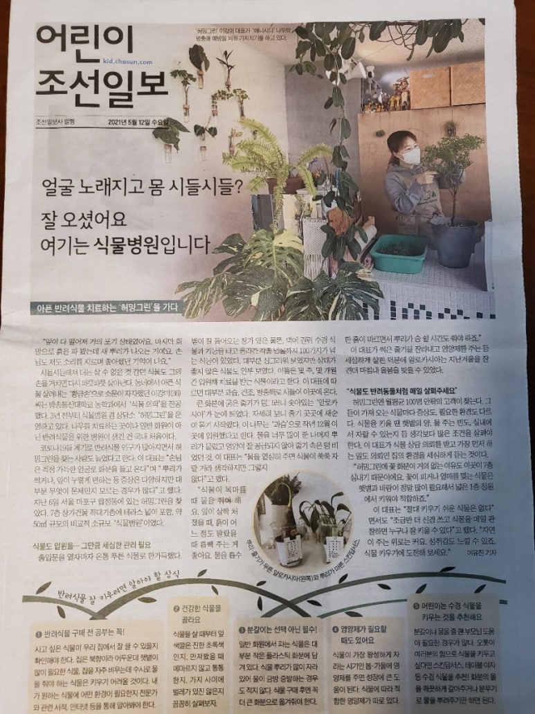 허밍그린 이미지