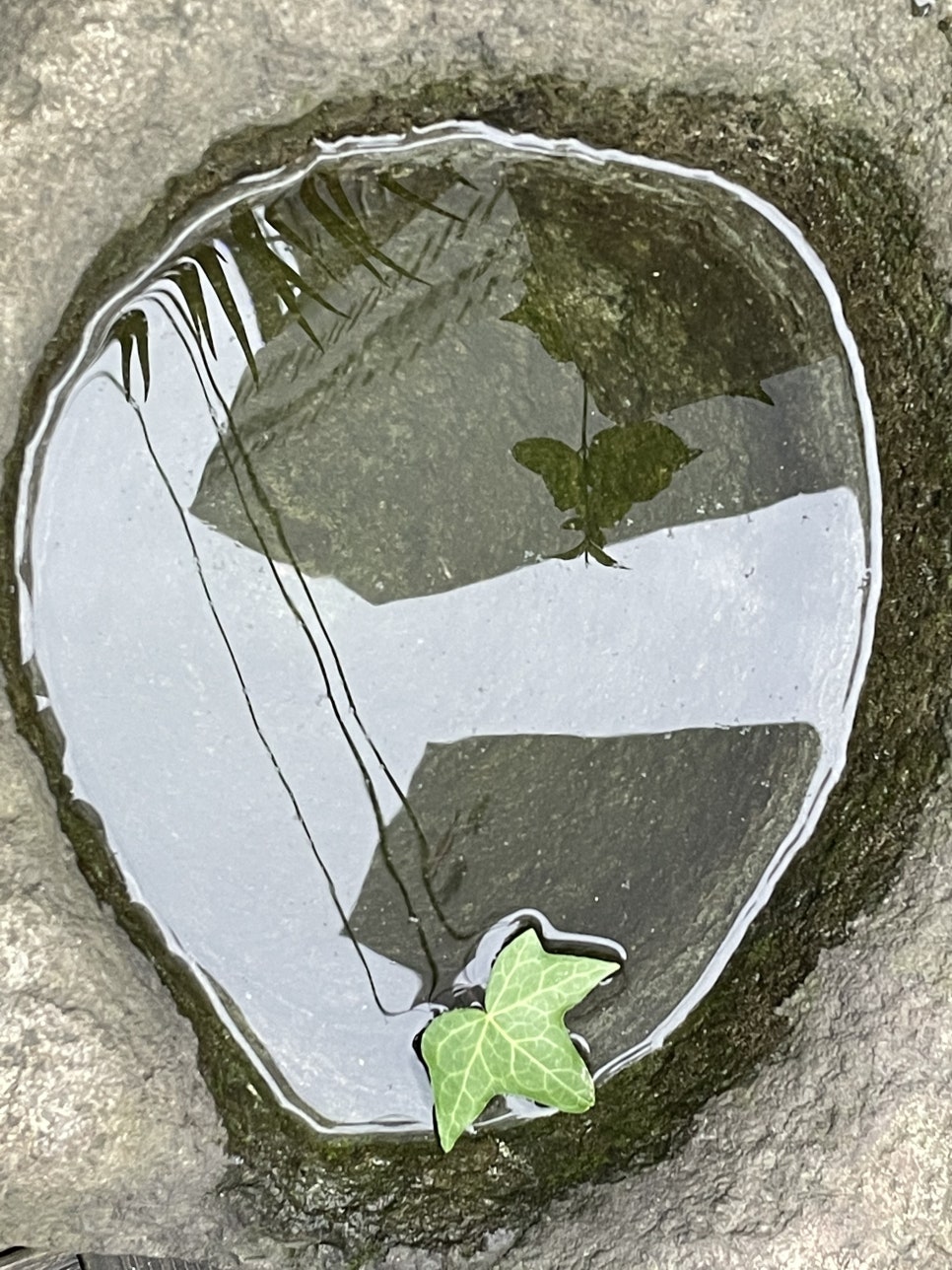 식당정원 이미지