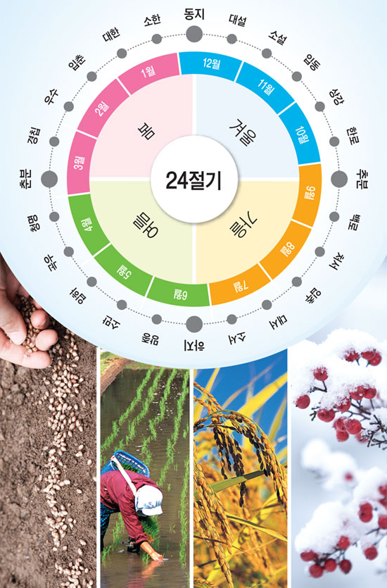 대운운기 이미지