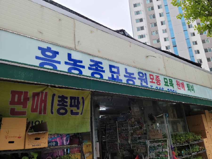 흥농종묘 이미지