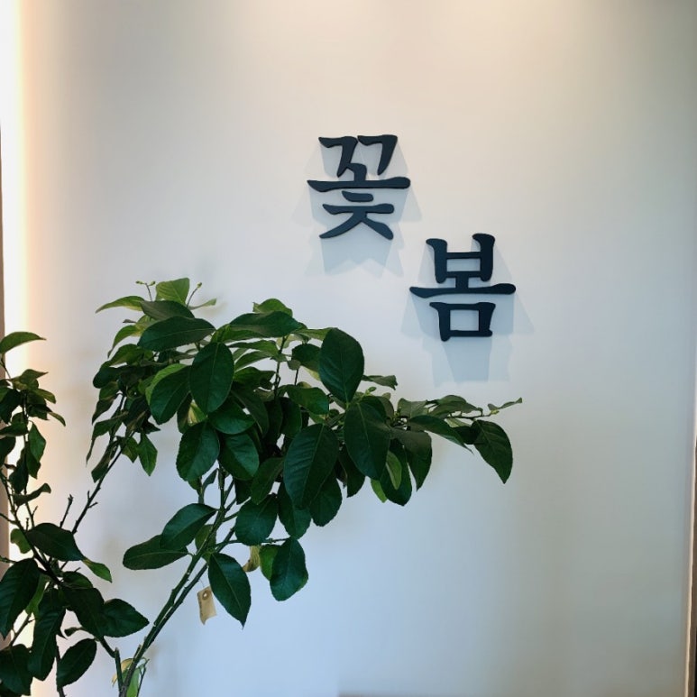 코히 이미지