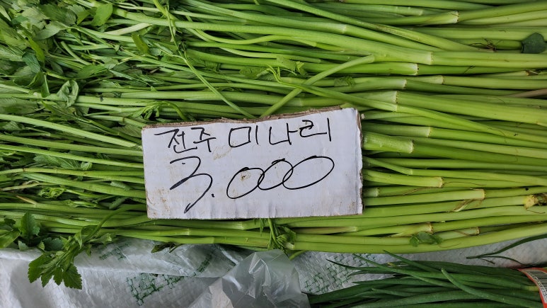 생강상회 이미지