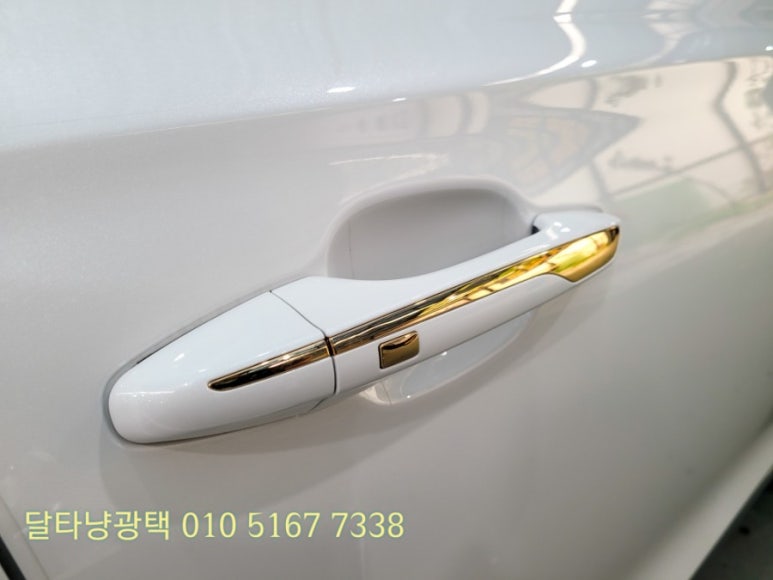 달타냥광택 이미지